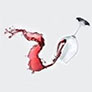 Новая винная упаковка от австралийской винодельни Barokes Wines