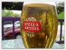 Stella Artois    