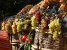 В Крыму в начале ноября состоится фестиваль вина