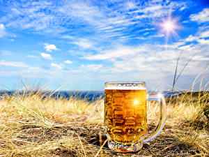Жаркое лето в Европе повысит цены на пиво даже зимой